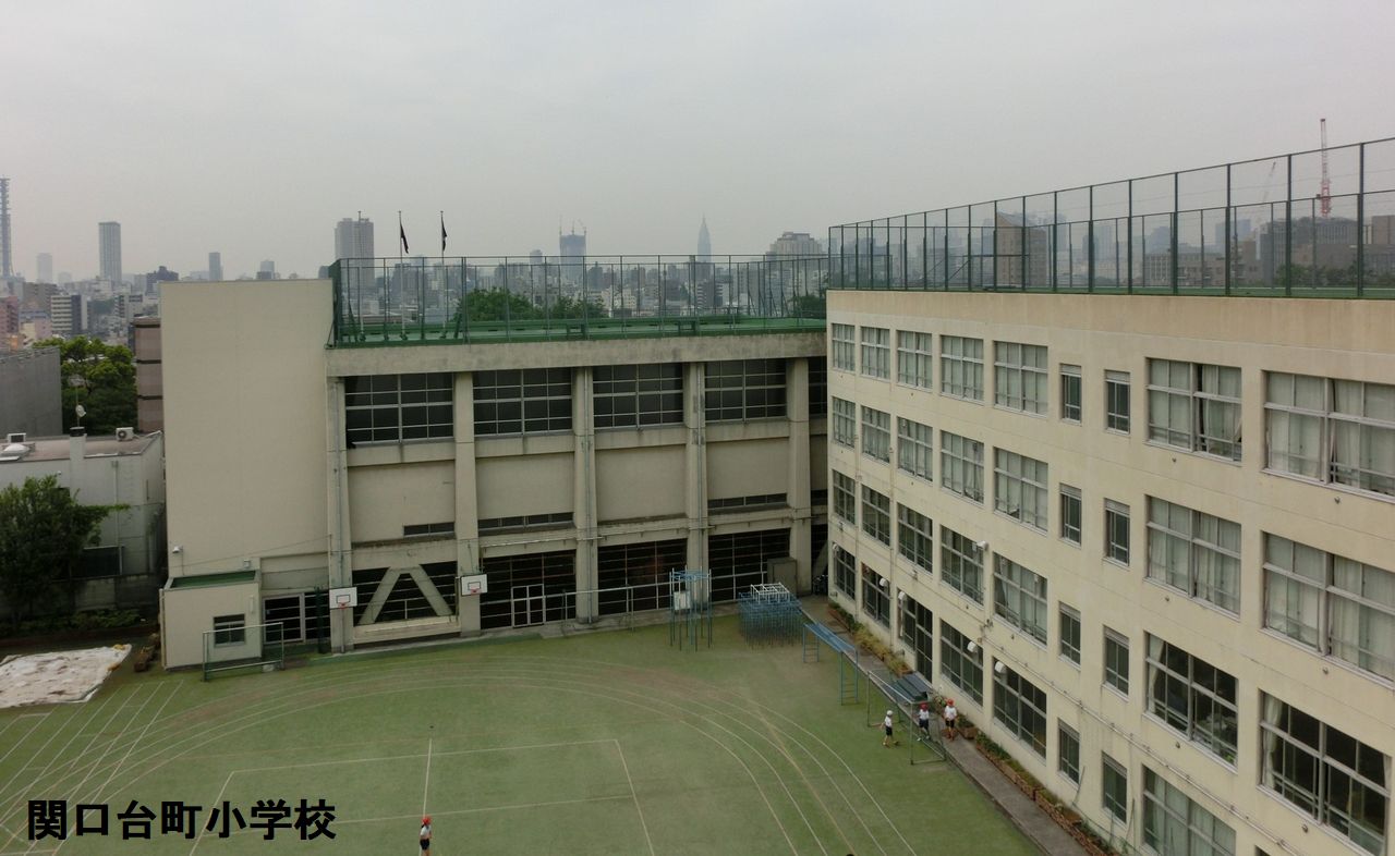 関口台町小学校