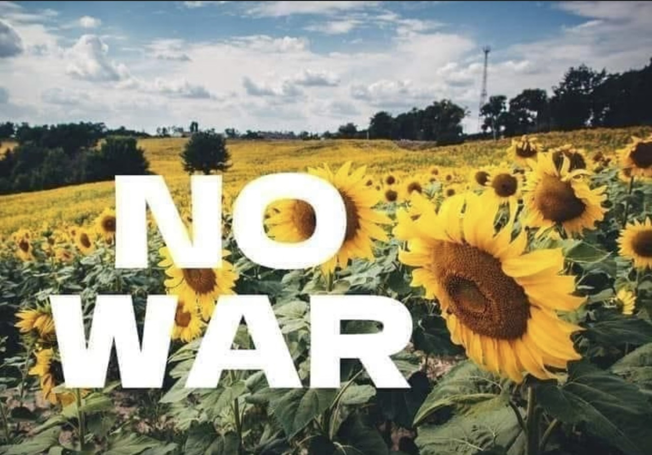 NO WAR ひまわり畑