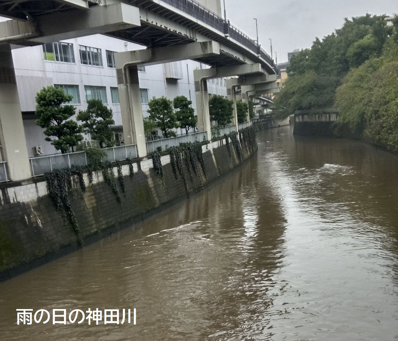 雨の日の神田川