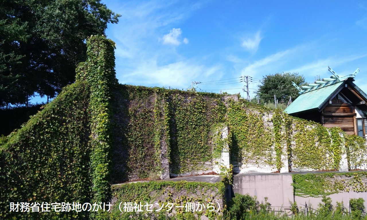 財務省住宅跡地のがけ（福祉センター側から）