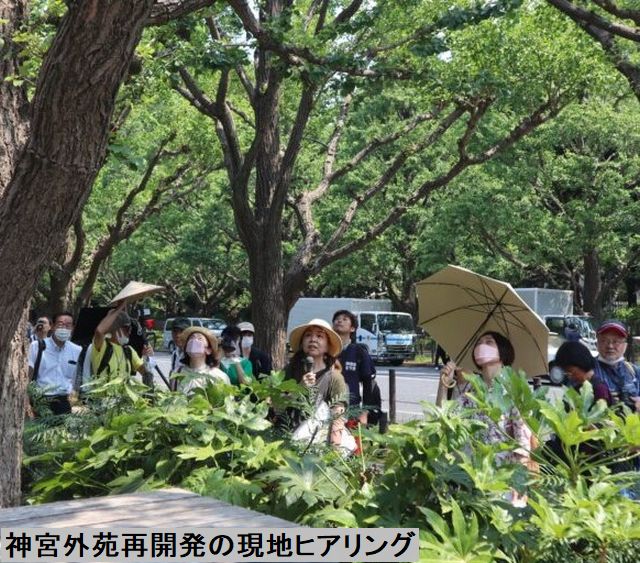 神宮外苑再開発の現地ヒアリング