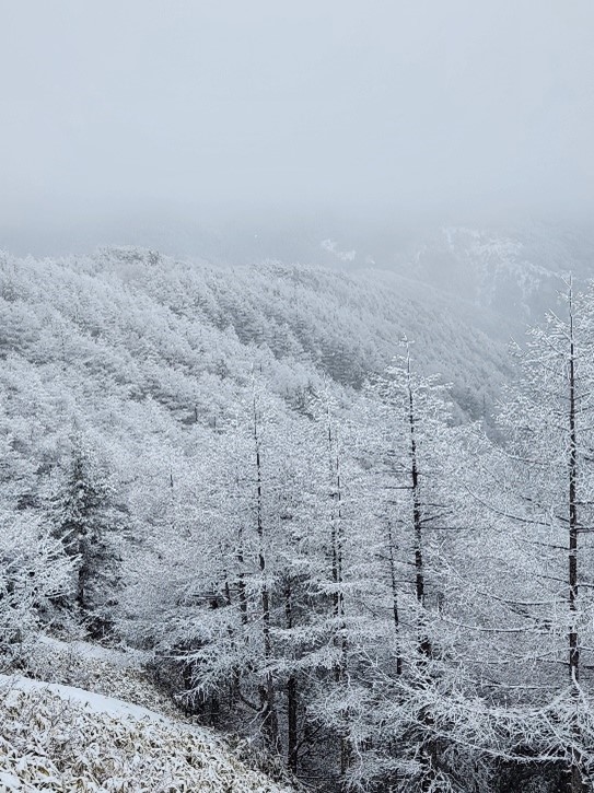 高峯山の冬景色