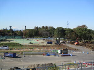 伐採された後の江戸川沿いの篠崎公園