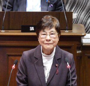 本会議質問11月28日