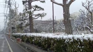 選挙投票日の雪