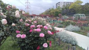 公園をリニューアルしたばかりなのに？
