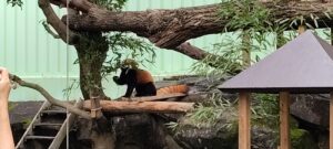 江戸川区自然動物園