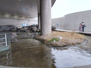 臨海水族園の建て替え工事が問題になっています。